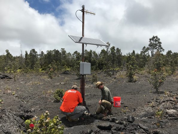 USGS Hawaiian Volcano Observatory field engineers upgrade a tiltmeter on Kīlauea Volcano's East Rift Zone. The upgrade consisted of switching the old analog instrument to a newer digital model. This tiltmeter is used to track magma movement within the volcano. USGS photo by K. Kamibayashi.